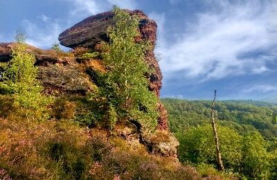 Hondjesberg