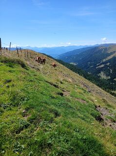 Foto von Helfried Wurzinger entlang der Tour