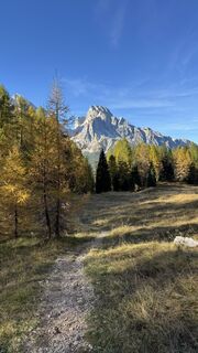 Fotografija s spletne strani ROBERTO BONIOTTI na poti