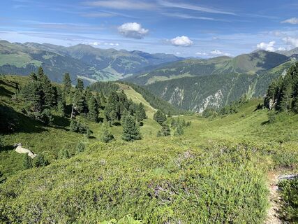 Photo de Koen De Wit le long du parcours