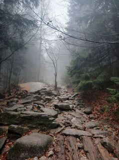 Photo de Daniel Kremiec le long du parcours