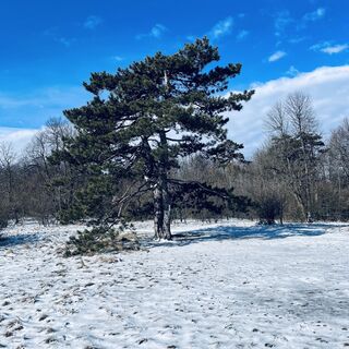 Foto de Bacskai János a lo largo del recorrido