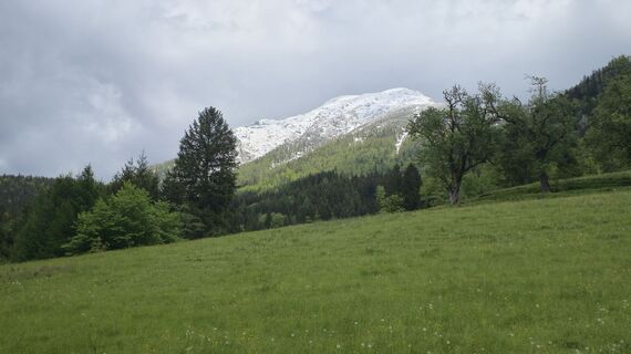 Foto von Márk János Kóródi entlang der Tour