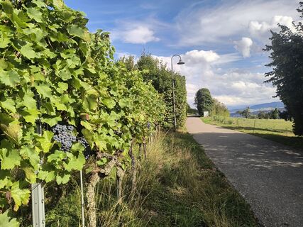 Foto von Camill Marciniak entlang der Tour