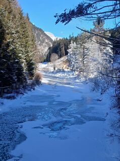 Fotografija s spletne strani Gerald S. Widmann na poti
