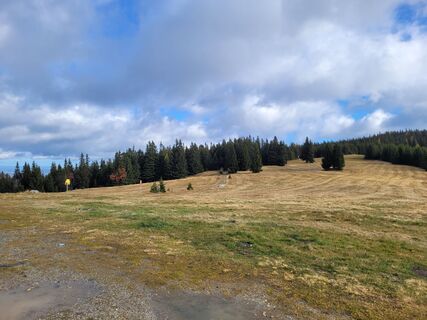 Foto de Astrid Höllerbauer a lo largo del recorrido