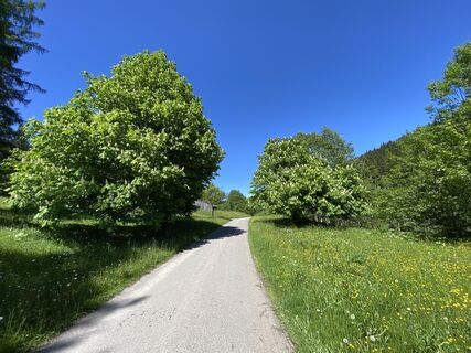 Fotografie z AloisiusK na trase