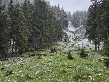 Foto von Timon Bertignoll entlang der Tour