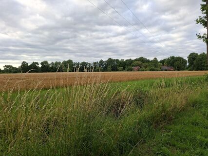 Zdjęcie z Johan Wester wzdłuż trasy