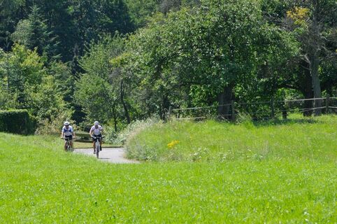 Moutainbiken auf der MTB 1 im Sankt Wendeler Land