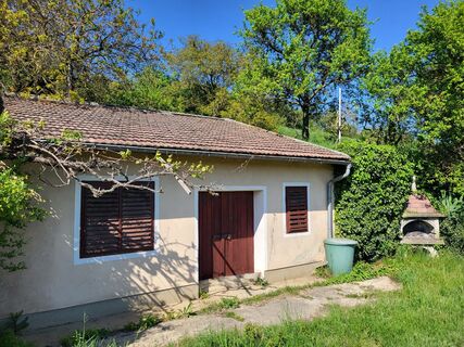 Fotografija s spletne strani BergfexxMaxx na poti