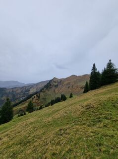 Foto von Seppy96 entlang der Tour