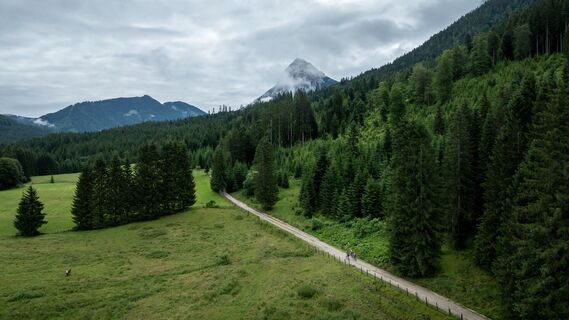 auf der alten Steinbergstraße - im Hintergrund der markante Gipfel des Guffert
