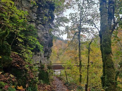 Fotografie de la Bettina Lotz de-a lungul turului