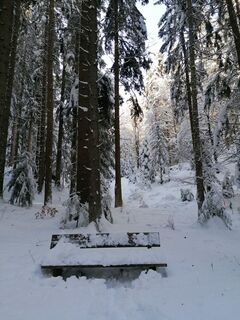 Foto de Dagmar Hofer a lo largo del recorrido