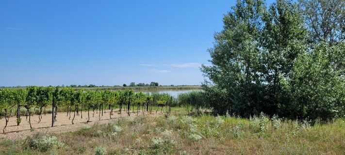 Foto de Nicky a lo largo del recorrido