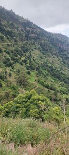 Zdjęcie z Janez gorišek wzdłuż trasy