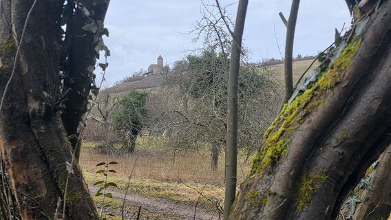 Photo de Michaela Fritz 3 le long du parcours