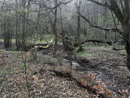 Fotografija s spletne strani Reti Alicia na poti