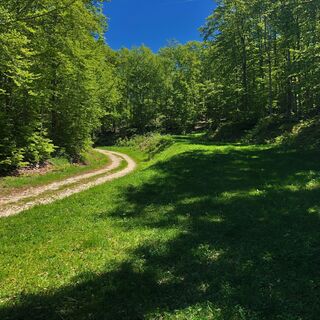 Weg oberhalb von Fully