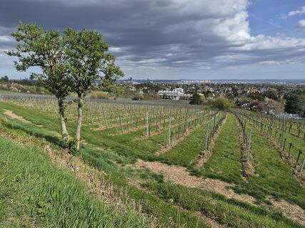 Foto de Peter Reitprecht a lo largo del recorrido