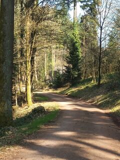 Foto von Laifernorbert entlang der Tour