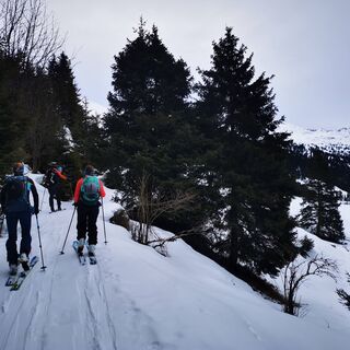 Abzweig in den Wald