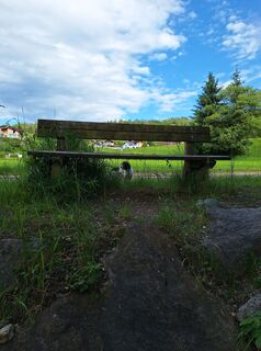 Fotografia z Dagmar Hofer na trase