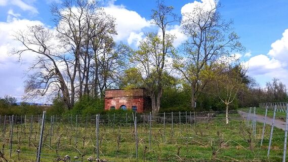 Weinbergshaus