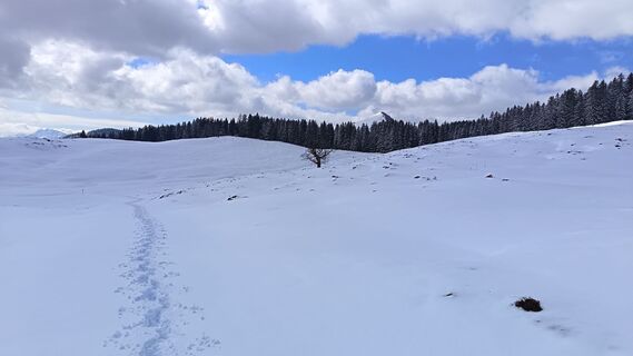 Photo de Róbert Balogh le long du parcours