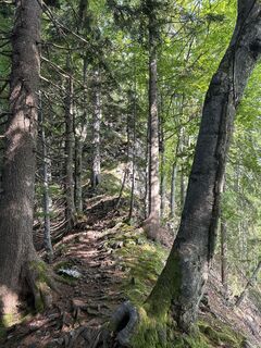 Photo de Robert Sallaberger le long du parcours