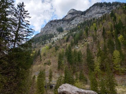 Photo de Tamás Kiss (Mr. Mojo) le long du parcours