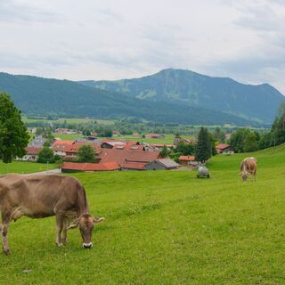 Bei Werdenstein