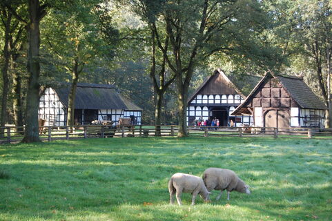 Museumshof 1.jpg