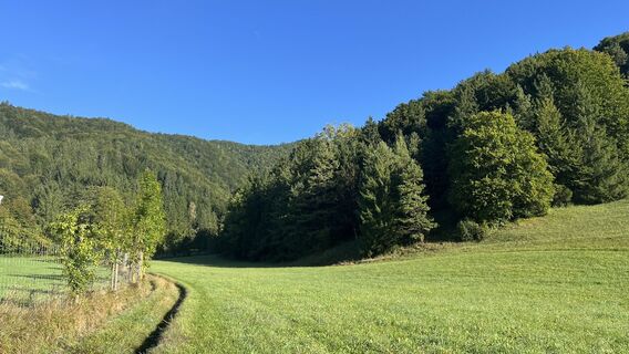 Foto de Sabine Offenberger a lo largo del recorrido