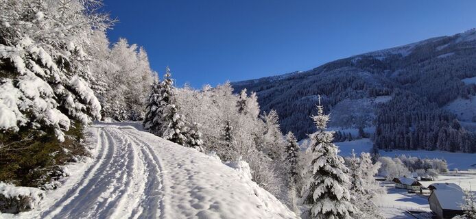 Winterwanderweg in Donnersbachwald