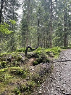 Foto von Raik Strassas entlang der Tour