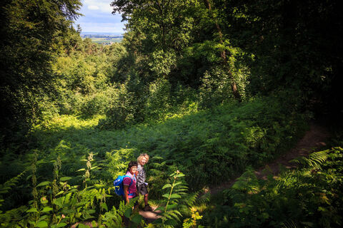 Natuurroute N70