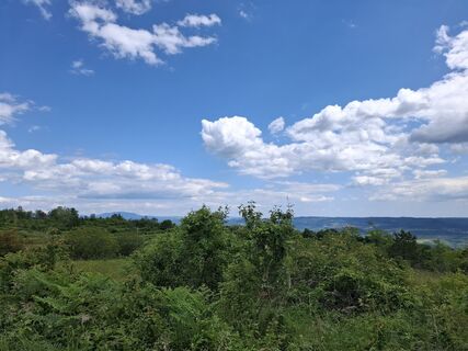Fotografia z nordbergschnecke na trase