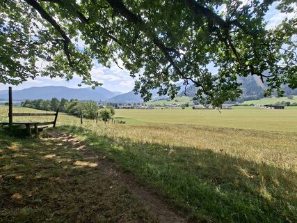 Foto de Franziska Mosebach a lo largo del recorrido