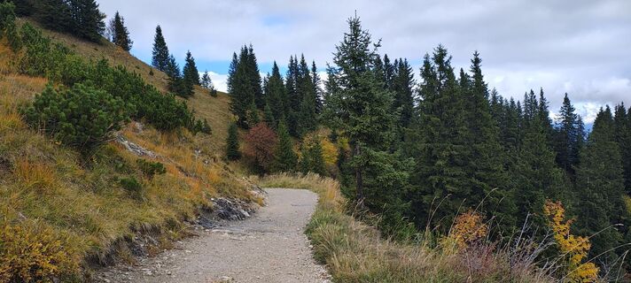 Foto von Tanya Mayer entlang der Tour
