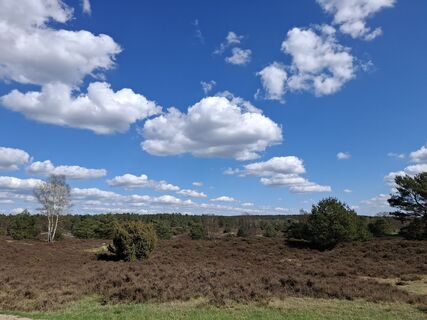Fotografia z nordbergschnecke na trase