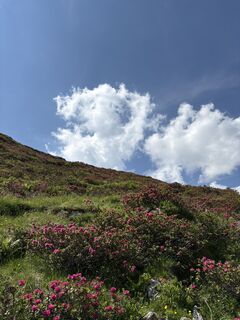 Foto von Takashi Araki entlang der Tour