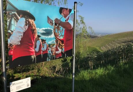 WEINSÜDEN Aussicht