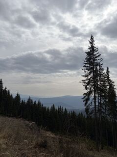 Fotografia z Mandy Friedrich na trase