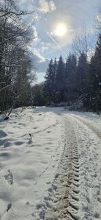Foto de micsunel ciocirtau a lo largo del recorrido