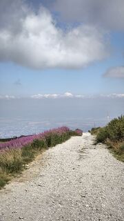 Fotografija s spletne strani dino eminagic na poti