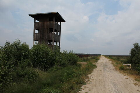 Vogelbeobachtungsturm Warmsen
