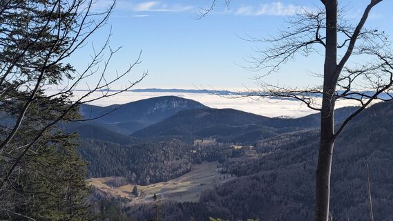 Photo de Konstantin Danek le long du parcours