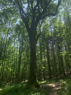 Foto von Kristina 1 entlang der Tour